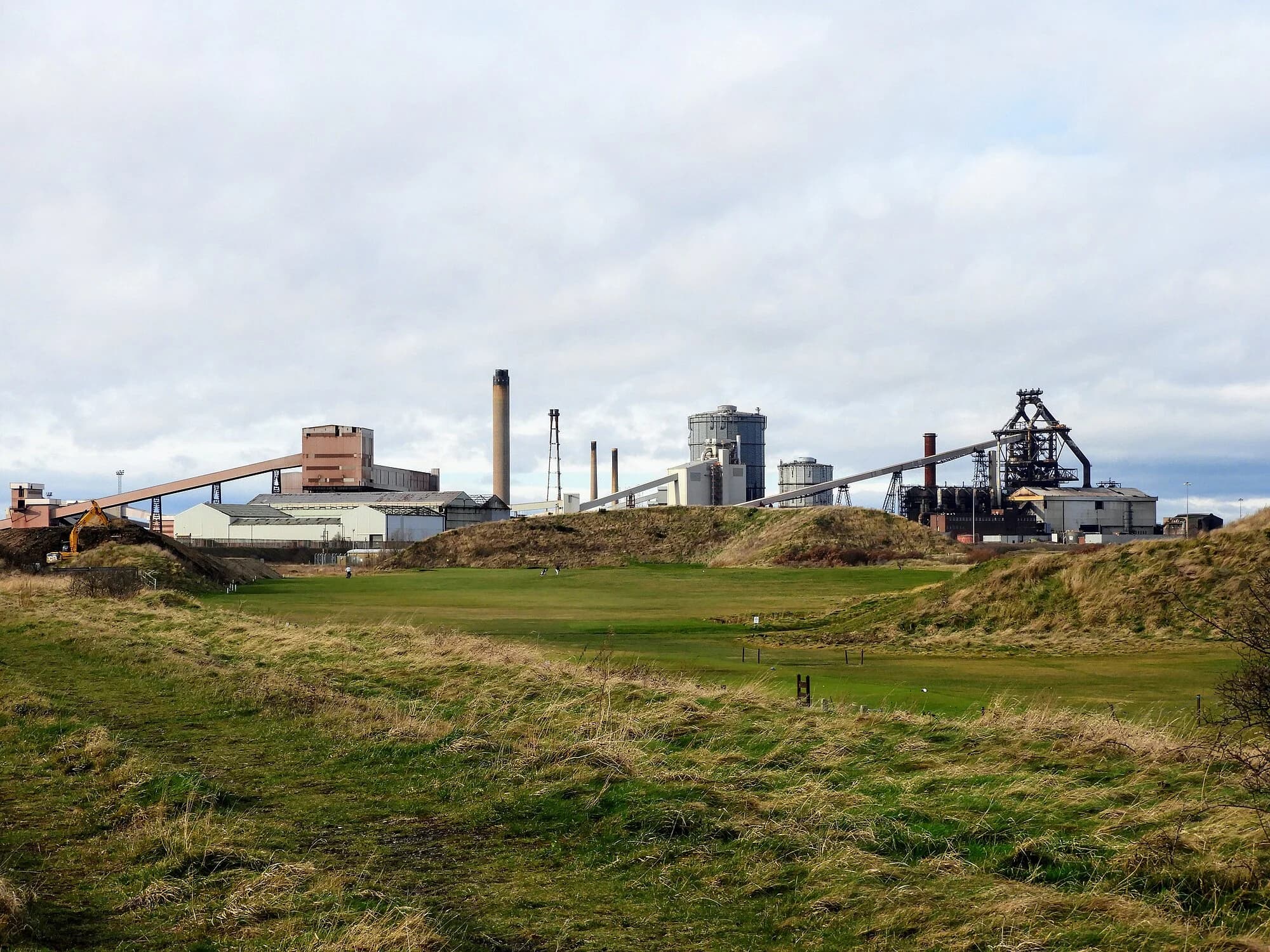 Vets in Redcar