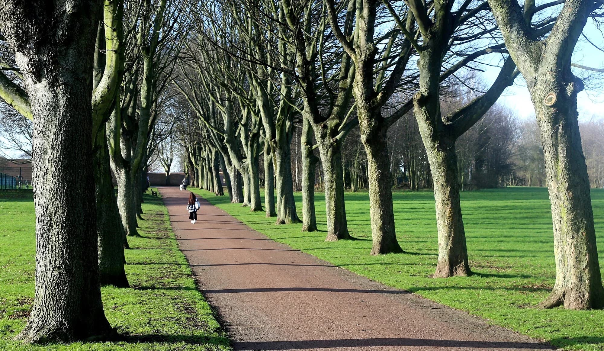 Vets in Rotherham