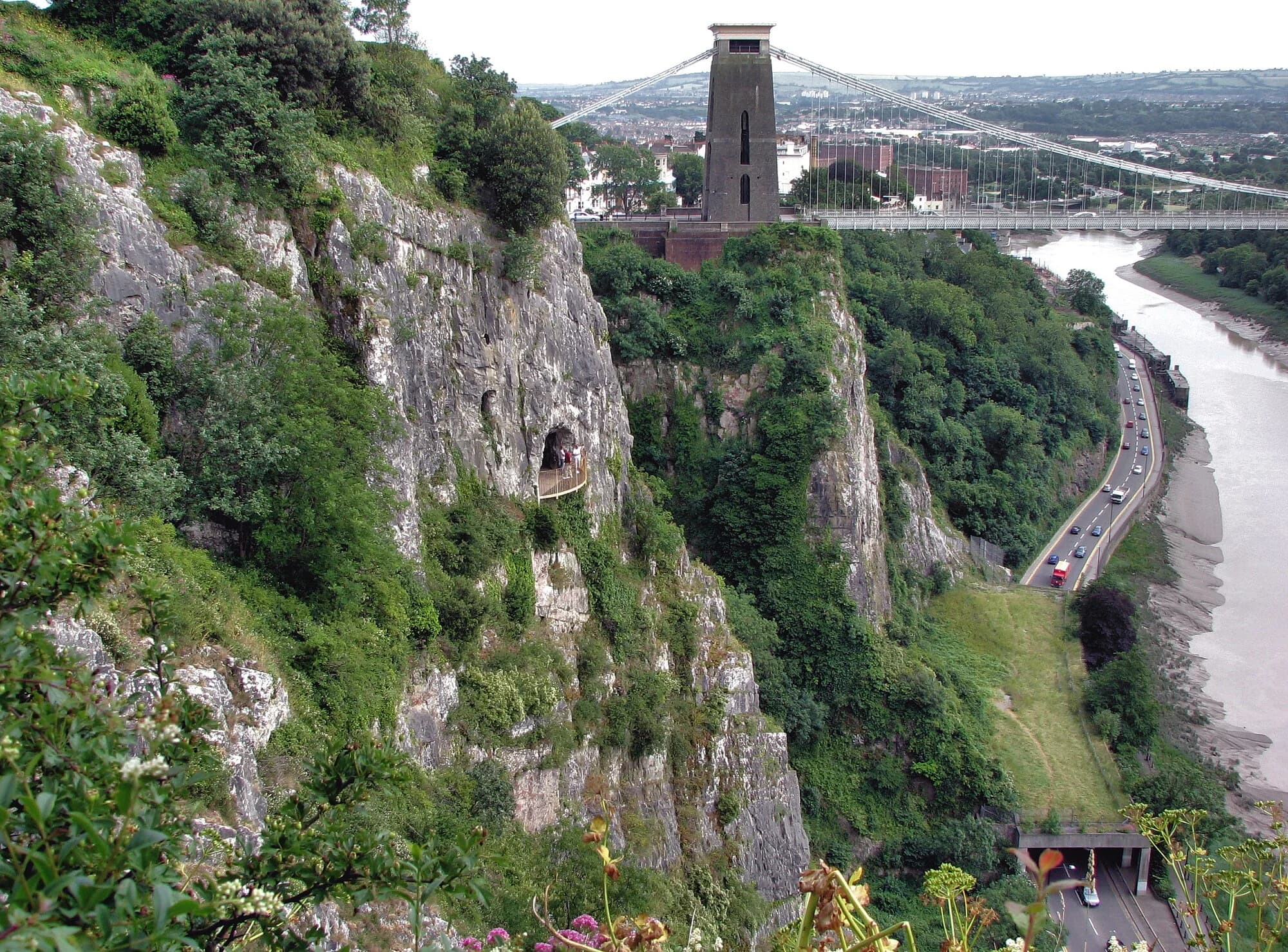 Vets in Bristol